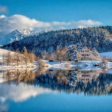 Chalet Des Cascades Mont-Dore Zewnętrze zdjęcie