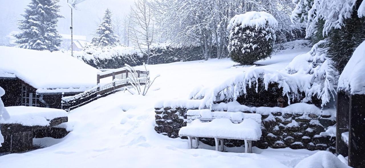 Chalet Des Cascades Mont-Dore Zewnętrze zdjęcie