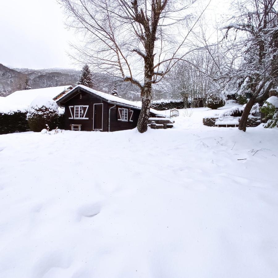 Chalet Des Cascades Mont-Dore Zewnętrze zdjęcie