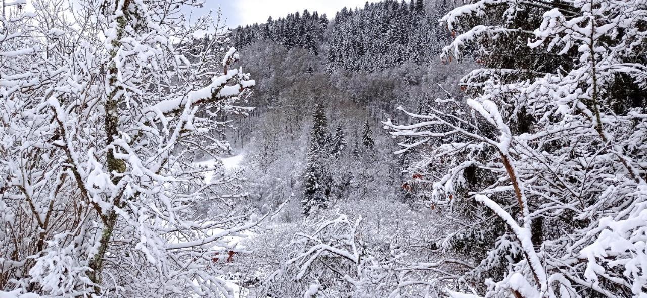 Chalet Des Cascades Mont-Dore Zewnętrze zdjęcie