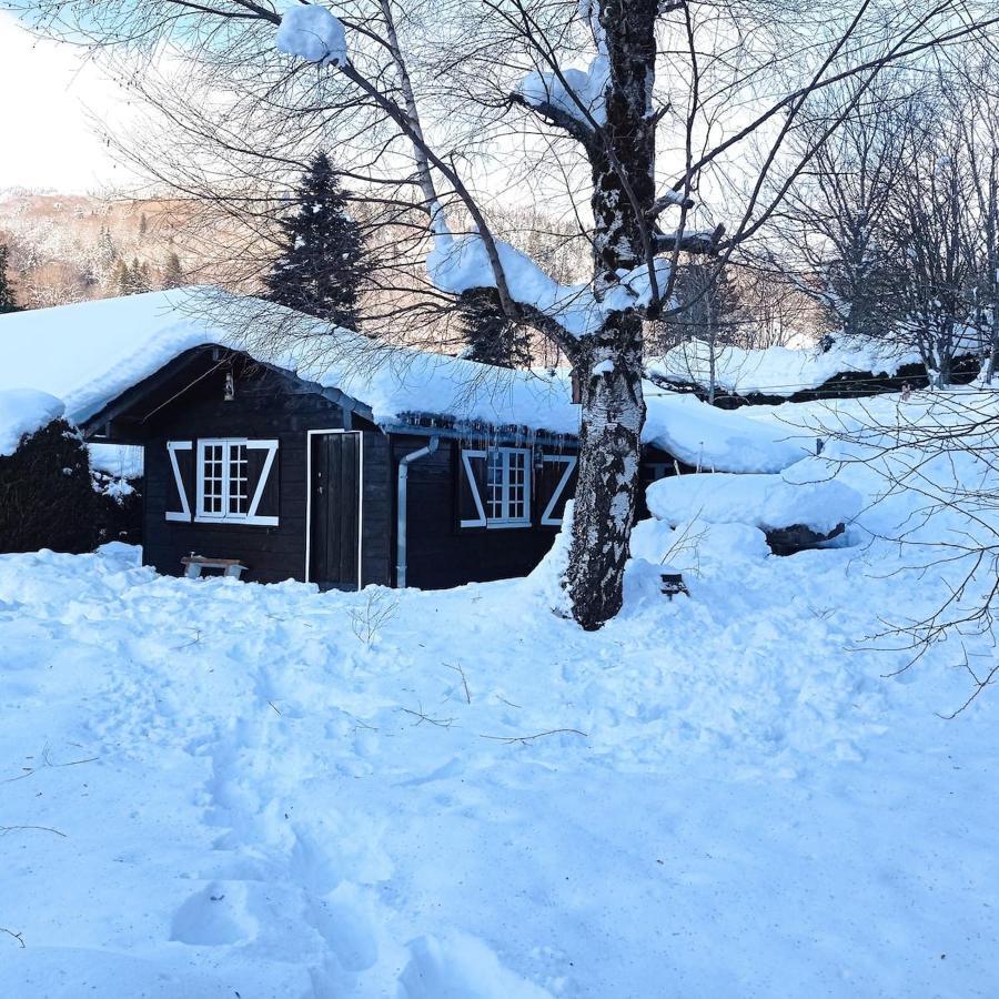 Chalet Des Cascades Mont-Dore Zewnętrze zdjęcie