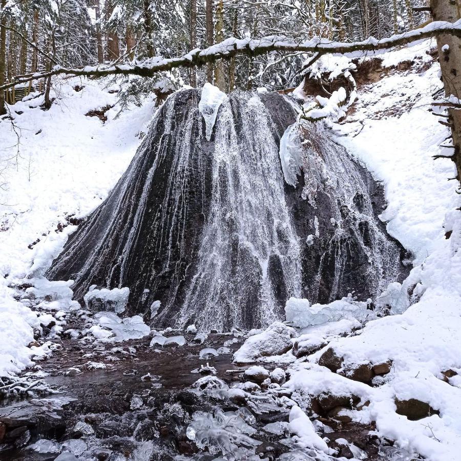 Chalet Des Cascades Mont-Dore Zewnętrze zdjęcie